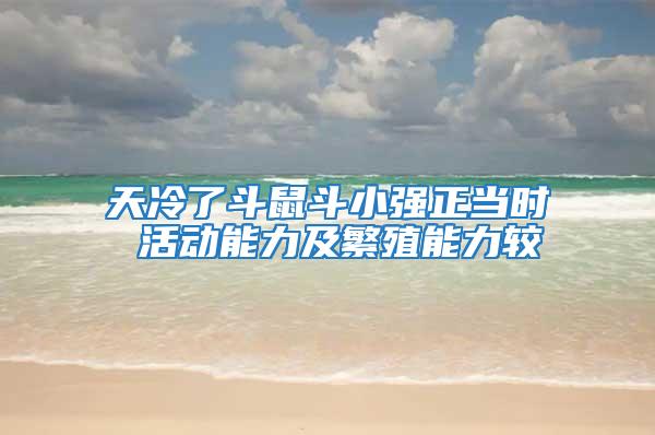 天冷了斗鼠斗小強正當(dāng)時 活動能力及繁殖能力較
