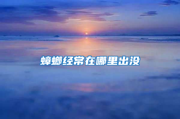 蟑螂經(jīng)常在哪里出沒