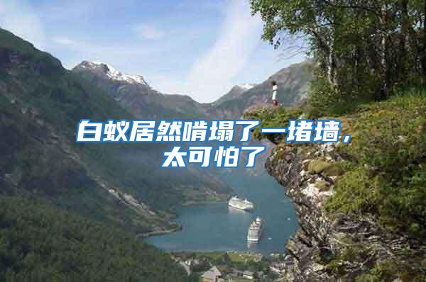 白蟻居然啃塌了一堵墻，太可怕了