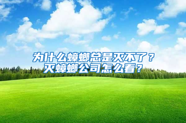 為什么蟑螂總是滅不了？滅蟑螂公司怎么看？