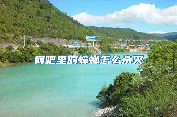 網吧里的蟑螂怎么殺滅
