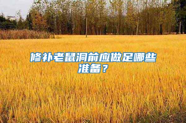 修補老鼠洞前應(yīng)做足哪些準(zhǔn)備？