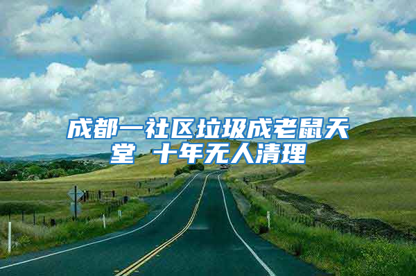 成都一社區垃圾成老鼠天堂 十年無人清理