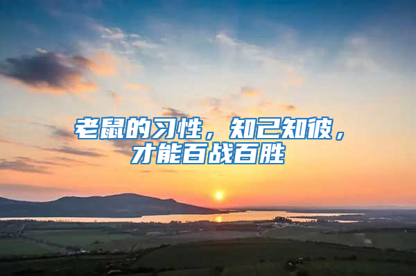 老鼠的習(xí)性，知己知彼，才能百戰(zhàn)百勝