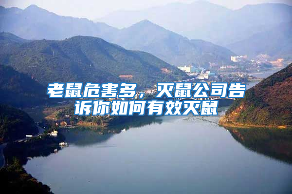 老鼠危害多，滅鼠公司告訴你如何有效滅鼠