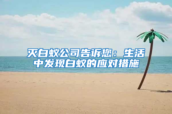 滅白蟻公司告訴您：生活中發現白蟻的應對措施