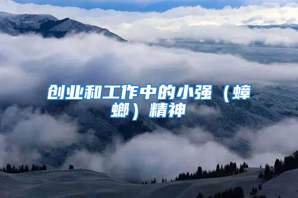 創業和工作中的小強（蟑螂）精神