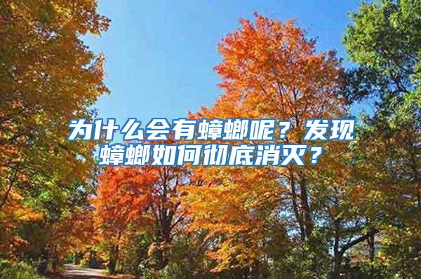 為什么會有蟑螂呢？發現蟑螂如何徹底消滅？