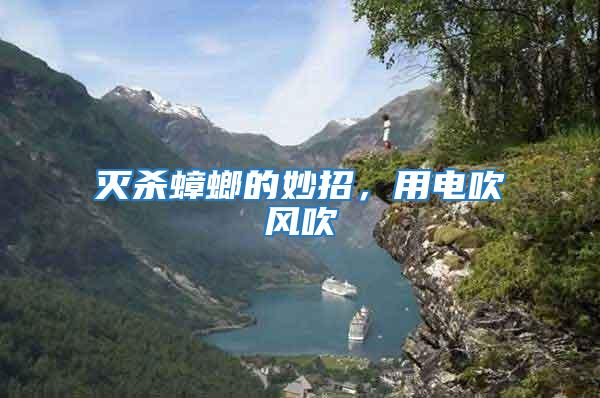 滅殺蟑螂的妙招，用電吹風吹