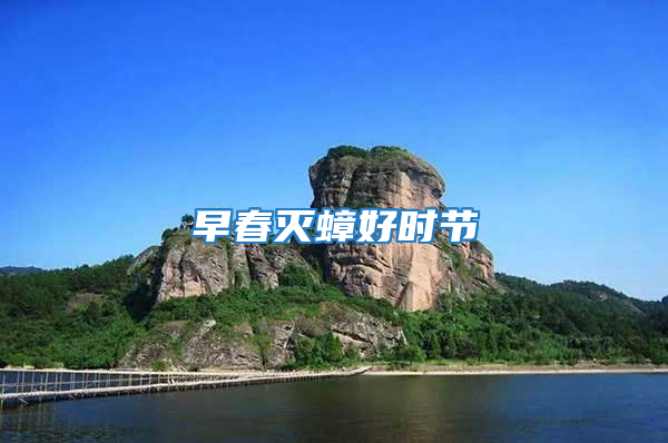 早春滅蟑好時(shí)節(jié)