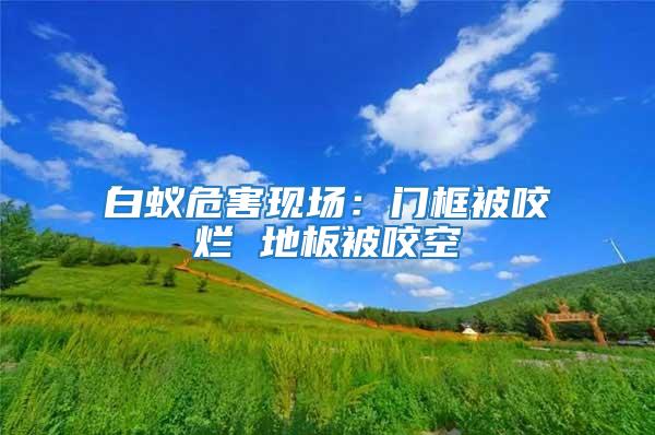 白蟻危害現(xiàn)場：門框被咬爛 地板被咬空