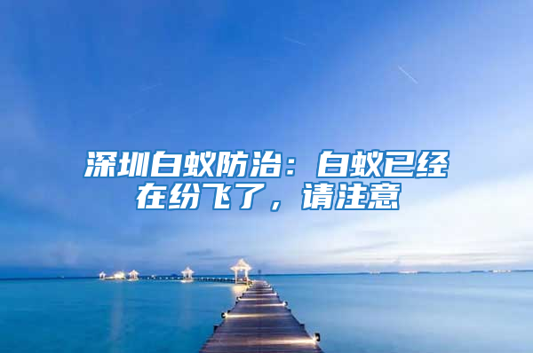 深圳白蟻防治：白蟻已經(jīng)在紛飛了，請(qǐng)注意