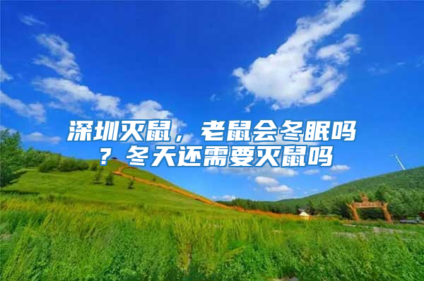 深圳滅鼠，老鼠會冬眠嗎？冬天還需要滅鼠嗎