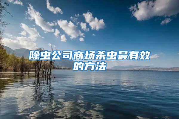 除蟲(chóng)公司商場(chǎng)殺蟲(chóng)最有效的方法