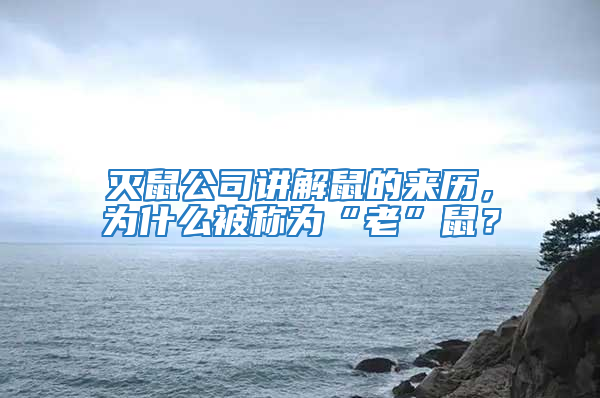 滅鼠公司講解鼠的來歷，為什么被稱為“老”鼠？