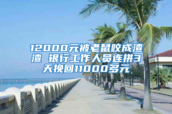 12000元被老鼠咬成渣渣 銀行工作人員連拼3天挽回11000多元