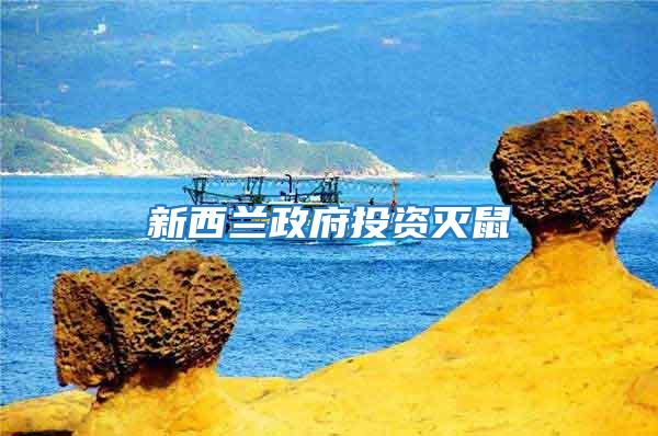 新西蘭政府投資滅鼠