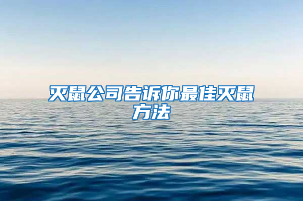 滅鼠公司告訴你最佳滅鼠方法