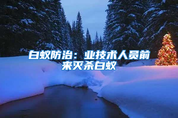 白蟻防治：業(yè)技術(shù)人員前來滅殺白蟻