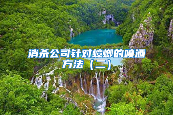 消殺公司針對蟑螂的噴灑方法（二）