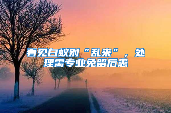看見(jiàn)白蟻別“亂來(lái)”，處理需專業(yè)免留后患