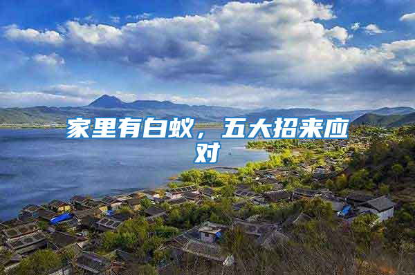 家里有白蟻，五大招來應對