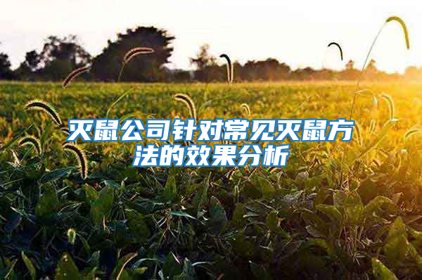 滅鼠公司針對常見滅鼠方法的效果分析