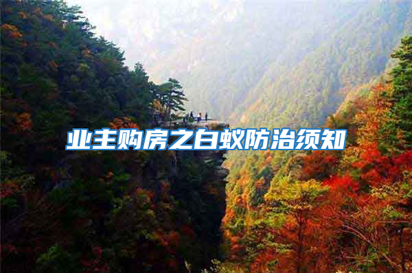 業主購房之白蟻防治須知