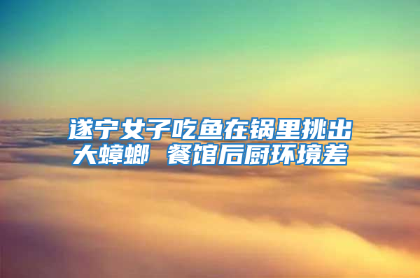 遂寧女子吃魚在鍋里挑出大蟑螂 餐館后廚環(huán)境差