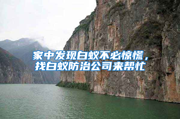 家中發(fā)現白蟻不必驚慌，找白蟻防治公司來幫忙