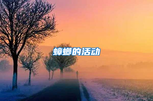 蟑螂的活動(dòng)