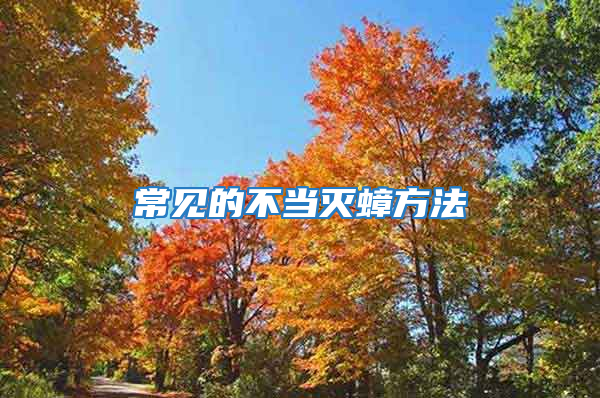 常見的不當滅蟑方法