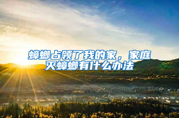 蟑螂占領了我的家，家庭滅蟑螂有什么辦法