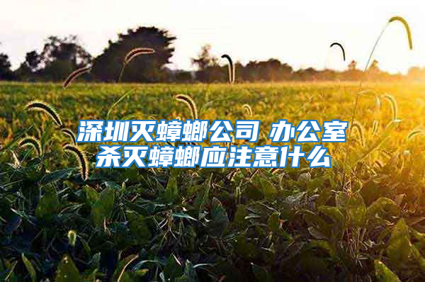 深圳滅蟑螂公司　辦公室殺滅蟑螂應(yīng)注意什么