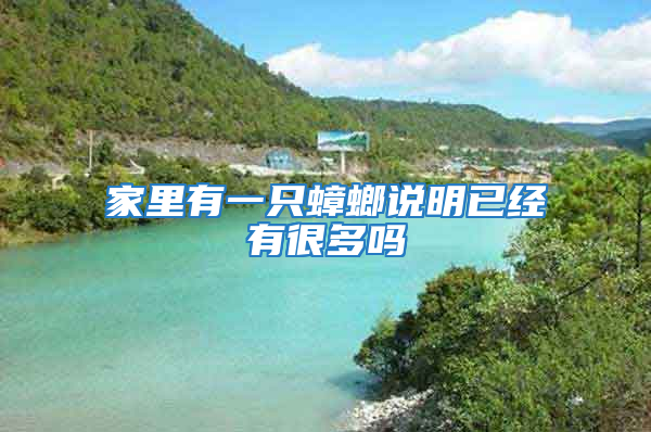 家里有一只蟑螂說明已經有很多嗎