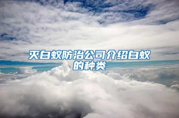 滅白蟻防治公司介紹白蟻的種類(lèi)