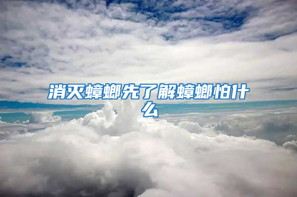 消滅蟑螂先了解蟑螂怕什么