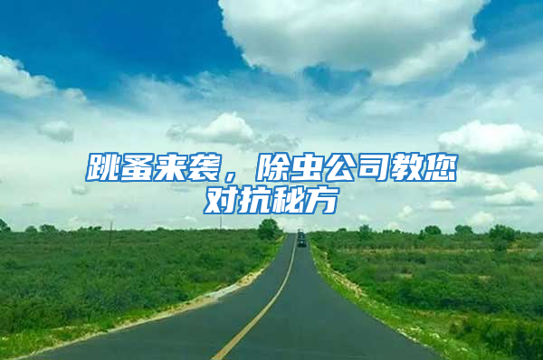跳蚤來襲，除蟲公司教您對抗秘方