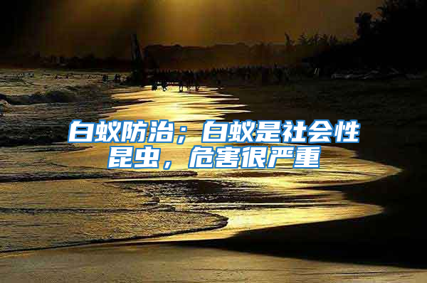 白蟻防治；白蟻是社會性昆蟲，危害很嚴重