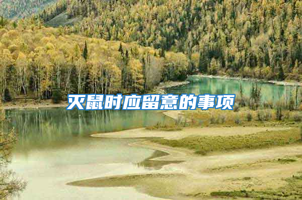 滅鼠時應(yīng)留意的事項