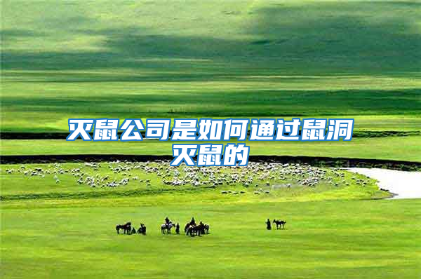 滅鼠公司是如何通過鼠洞滅鼠的
