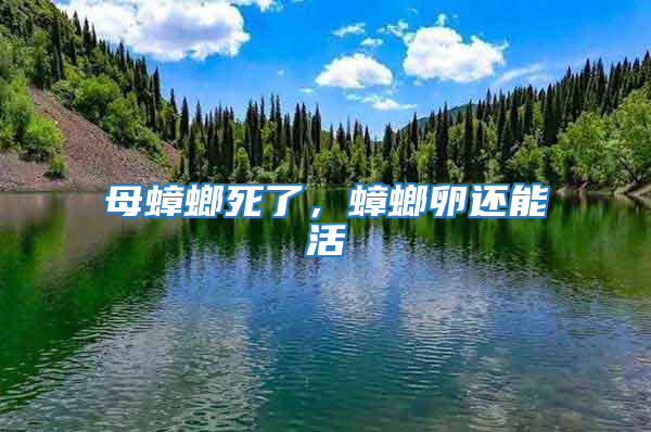 母蟑螂死了，蟑螂卵還能活