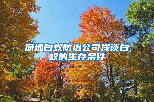 深圳白蟻防治公司淺談白蟻的生存條件