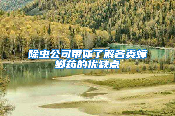 除蟲公司帶你了解各類蟑螂藥的優(yōu)缺點