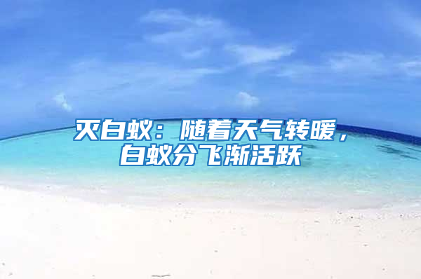 滅白蟻：隨著天氣轉暖，白蟻分飛漸活躍