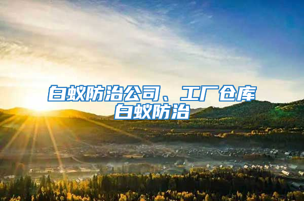 白蟻防治公司、工廠倉庫白蟻防治