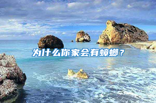 為什么你家會有蟑螂？