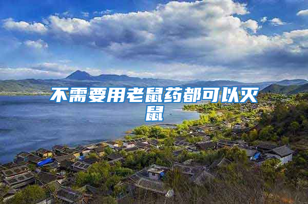 不需要用老鼠藥都可以滅鼠