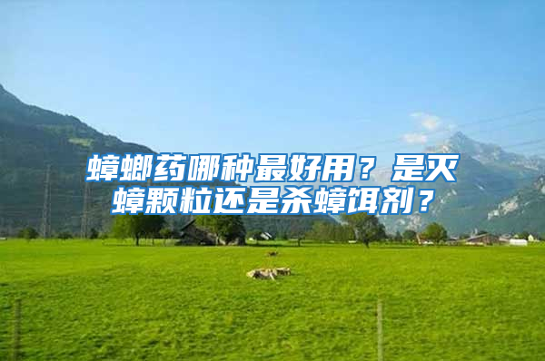 蟑螂藥哪種最好用？是滅蟑顆粒還是殺蟑餌劑？