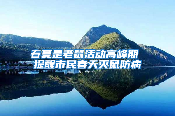 春夏是老鼠活動高峰期 提醒市民春天滅鼠防病
